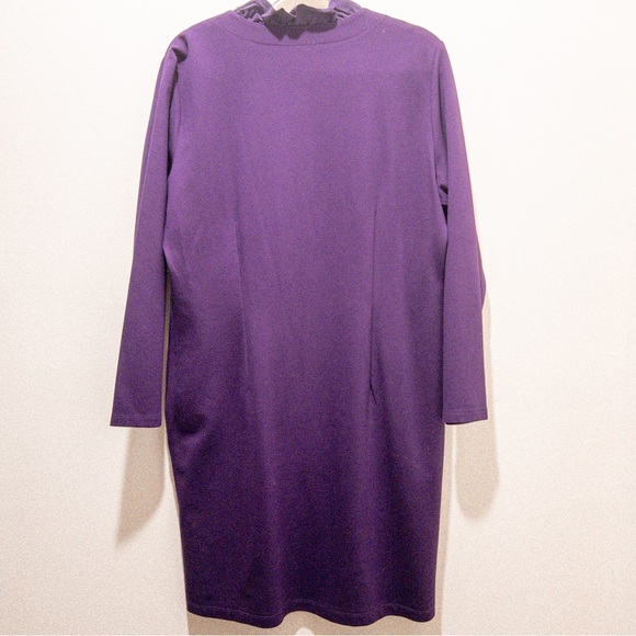 J. McLaughlin Durham Ruffle Neck Tie Dress - Picture 7 of 7